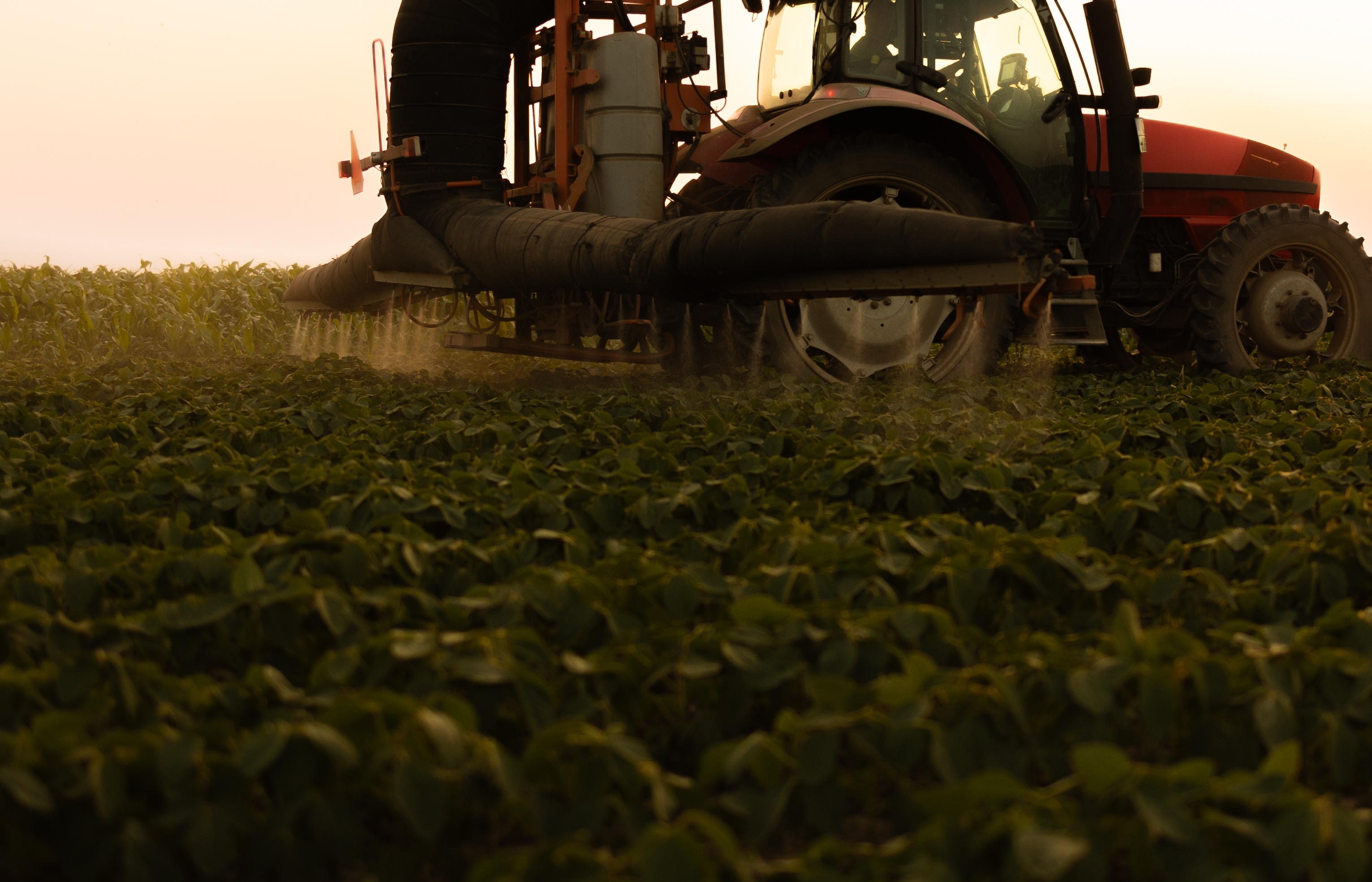 A tractor works on a soybean farm.