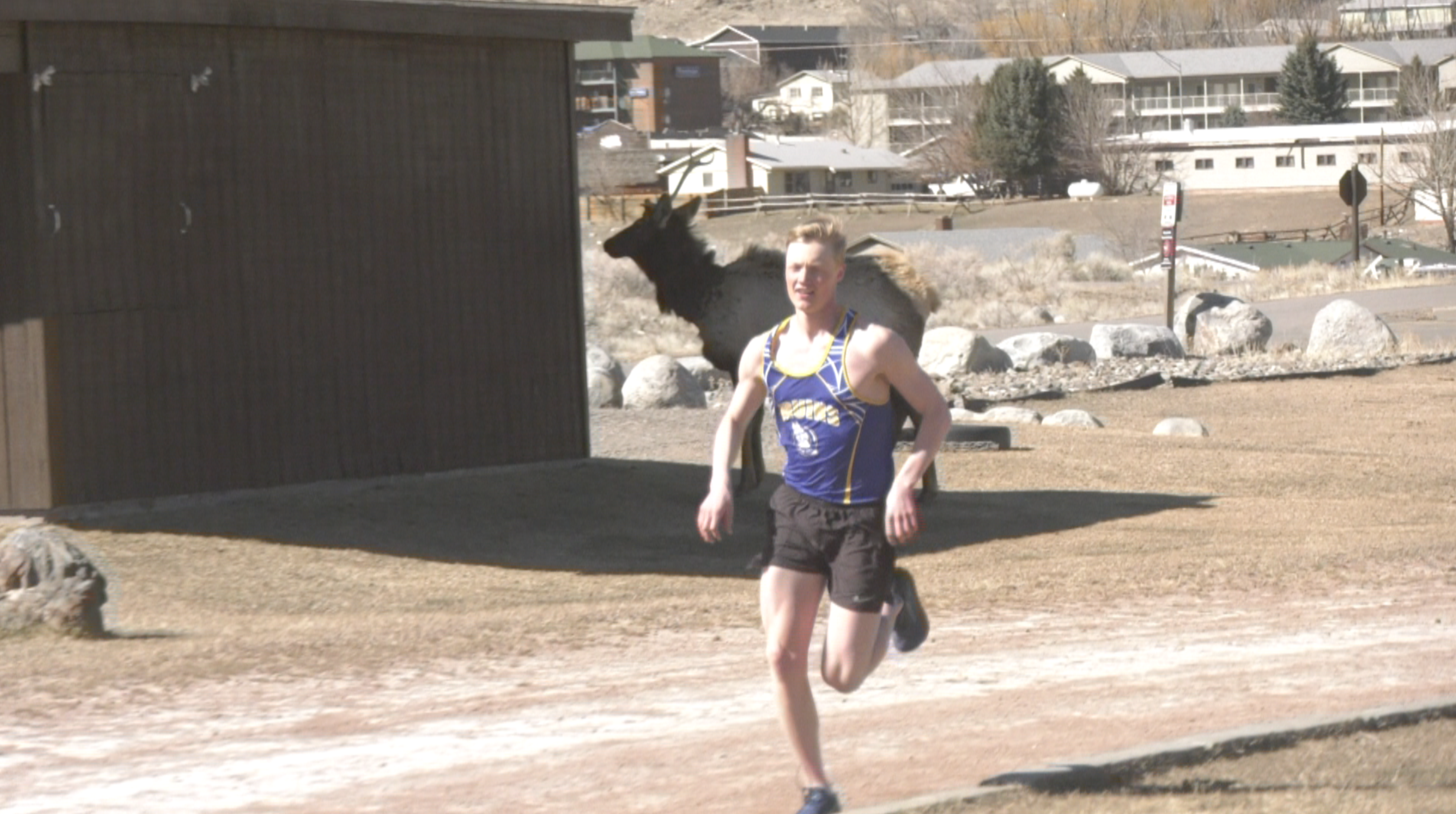 Gardiner marathon runner brings his talent to Bruins track and field
