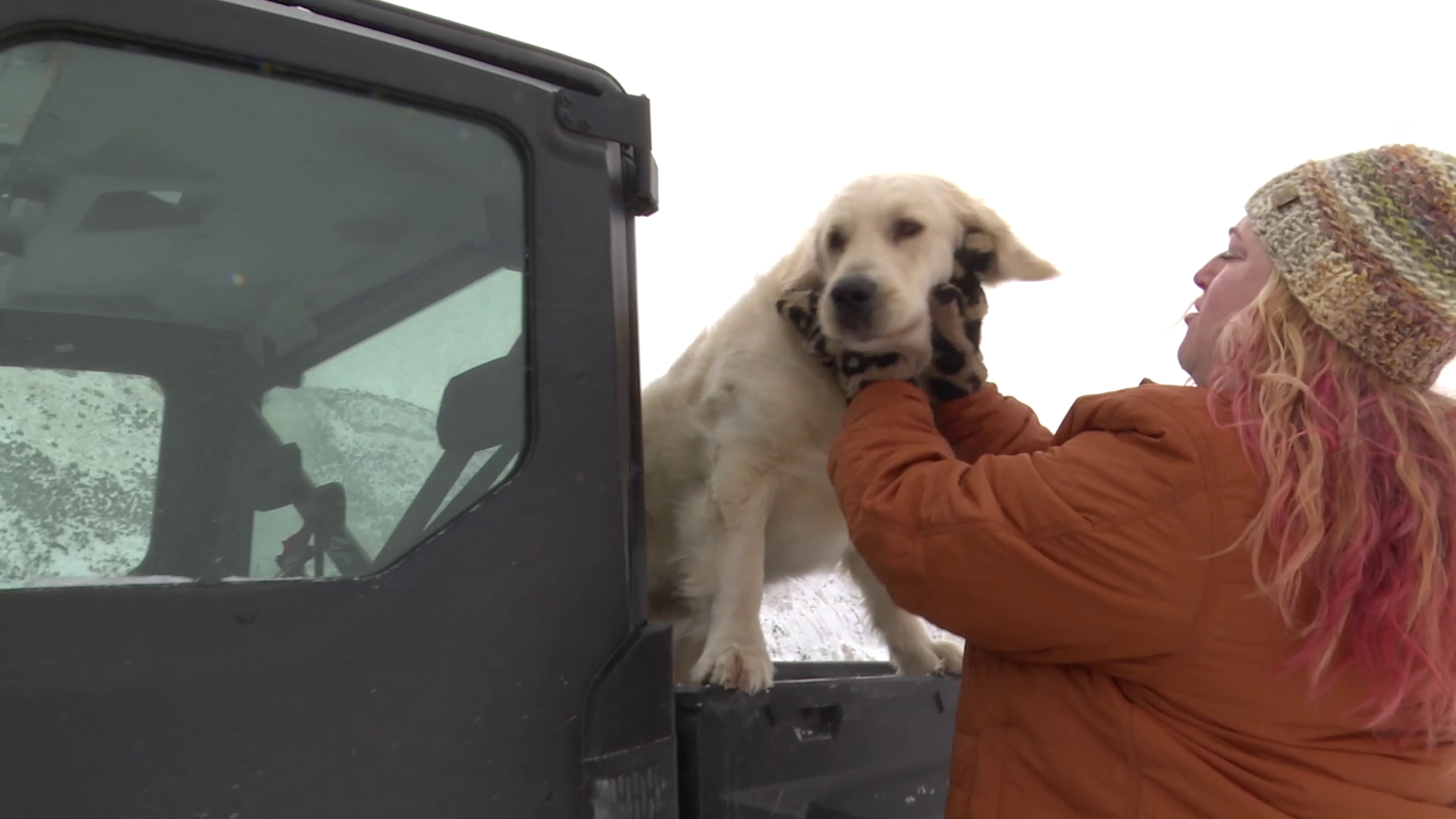 Dog rescued from icy river in Fort Benton