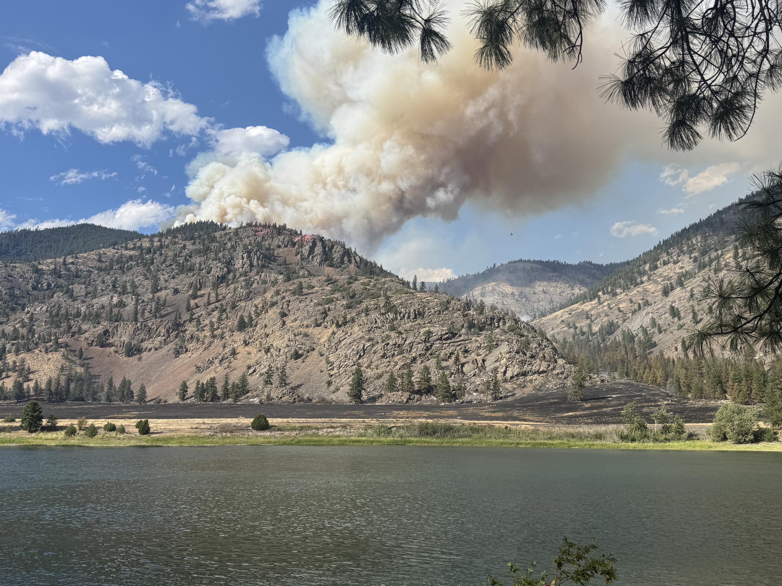 Knowles Fire