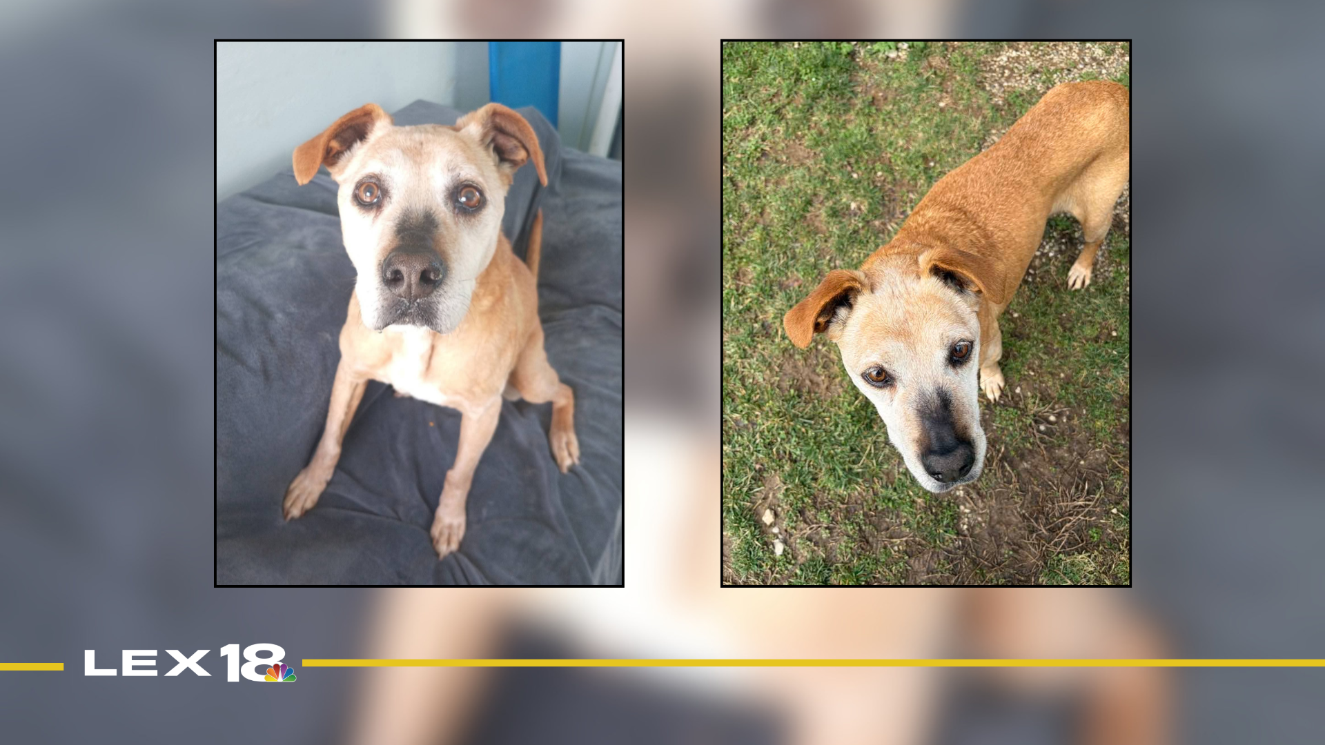 Featured Image Custom Edit (49).png