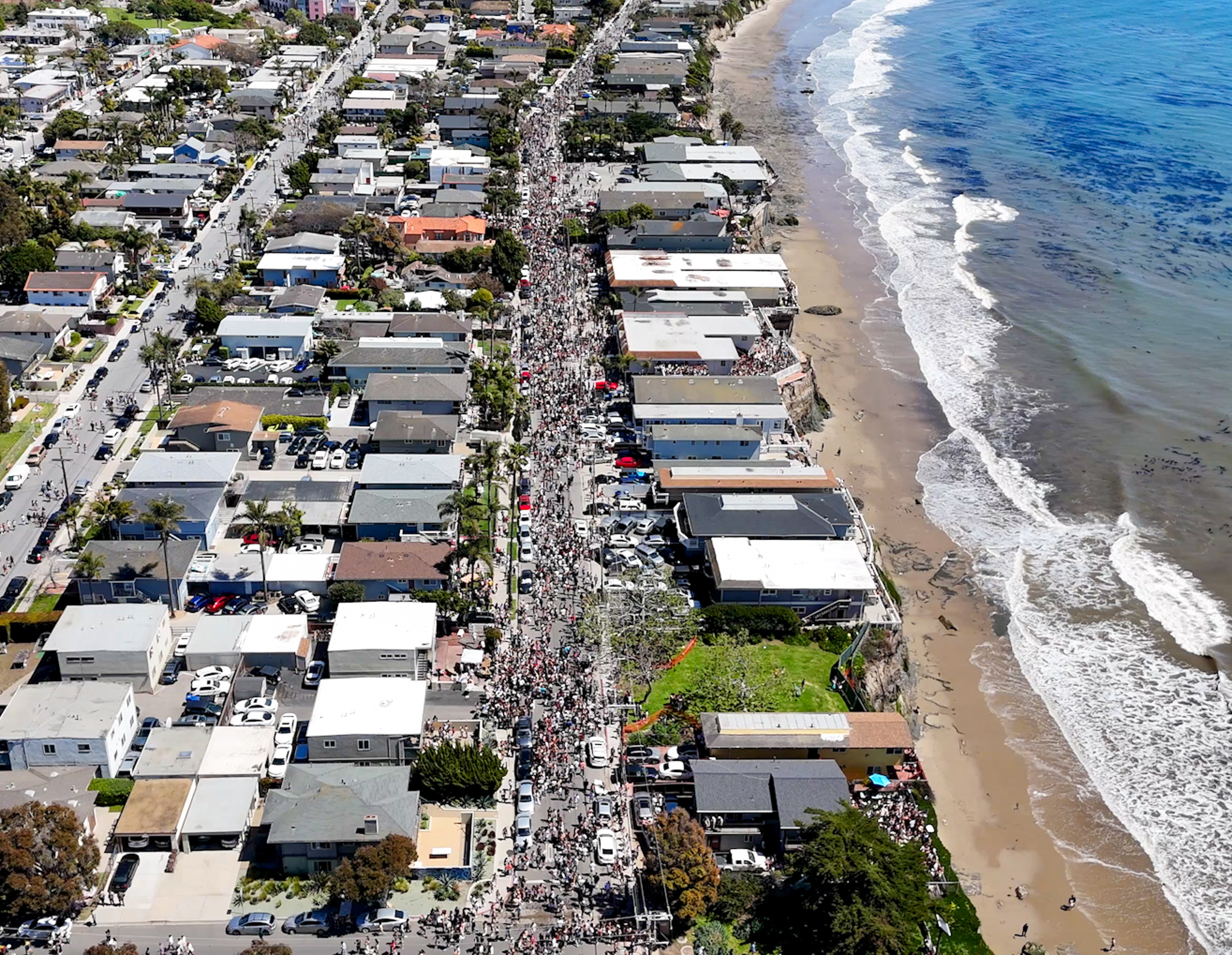 2024 Deltopia Del Playa .jpg