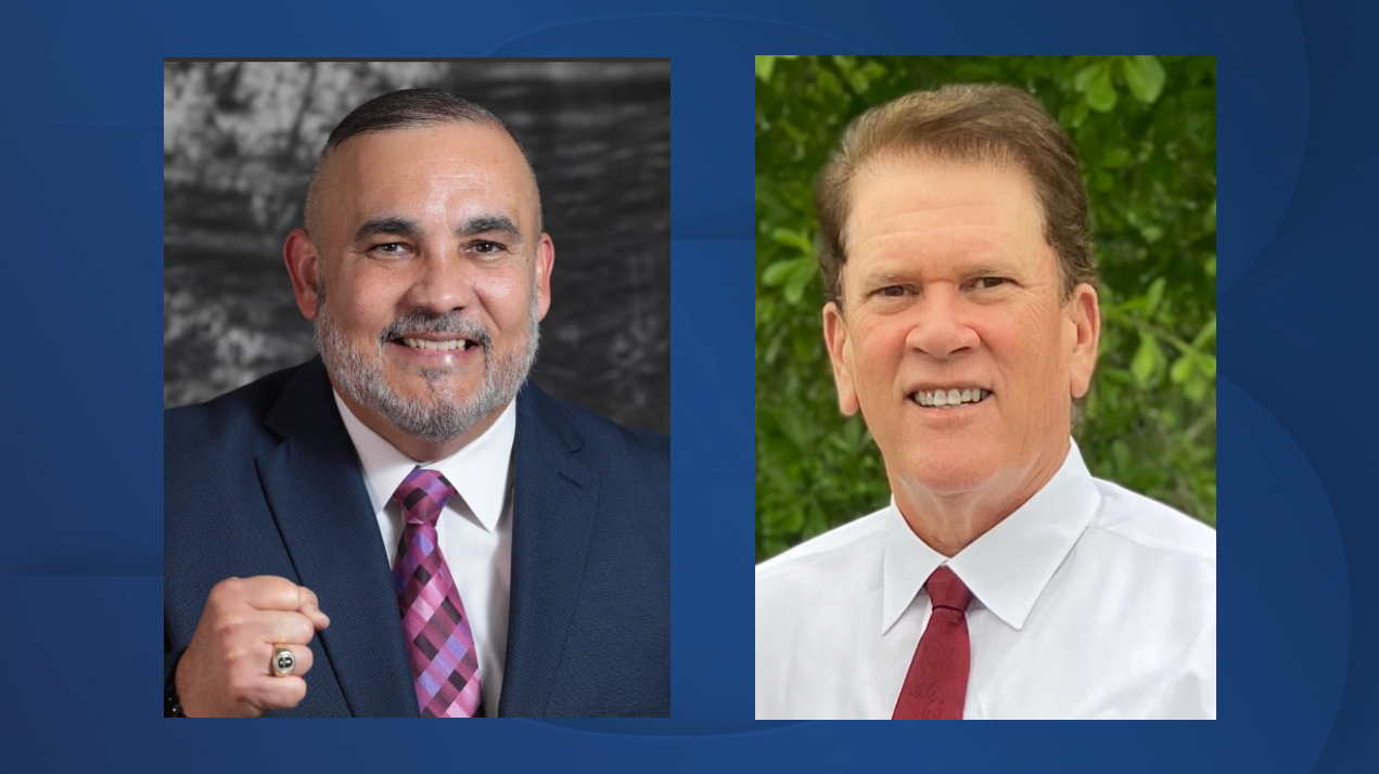 Lafayette Parish Council, District 2
