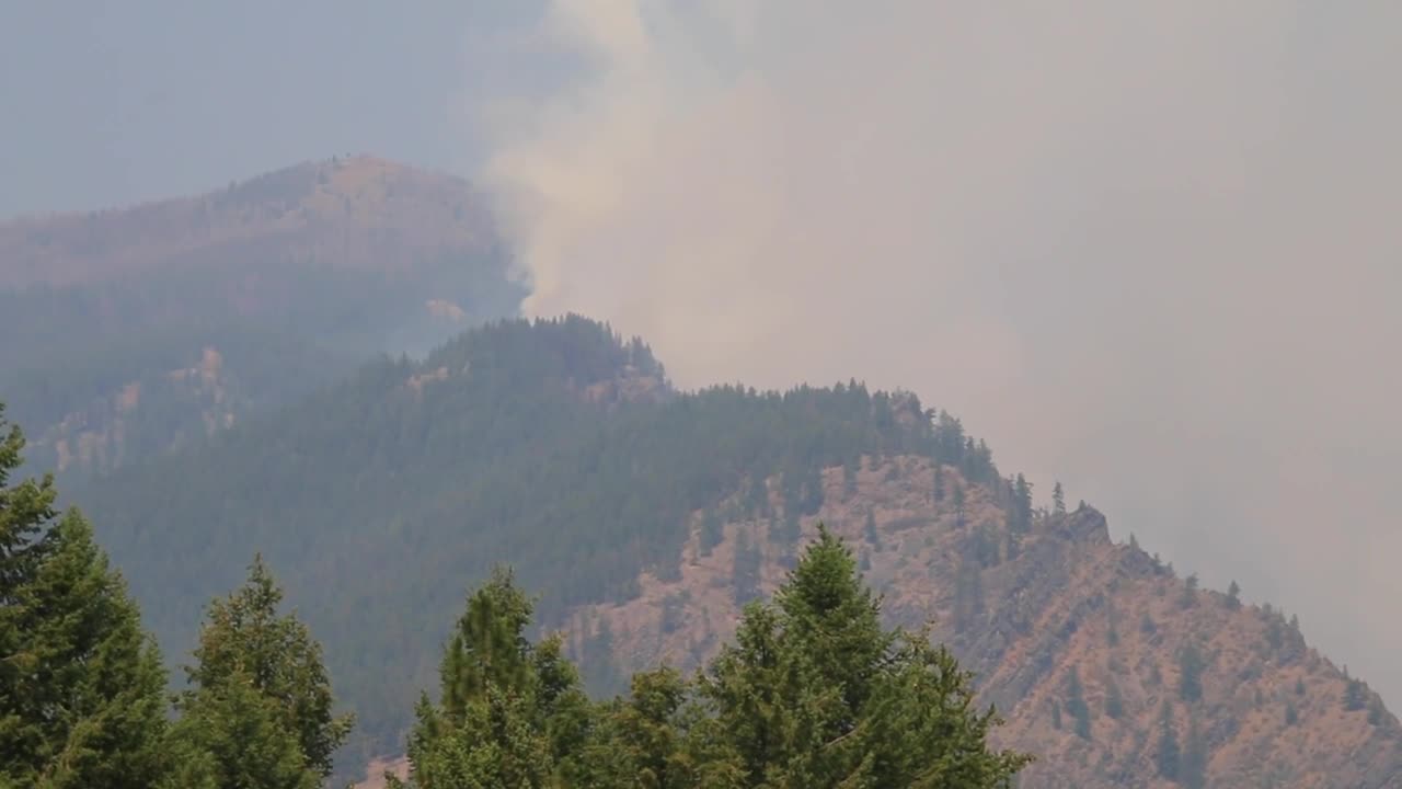 Thorne Creek Fire