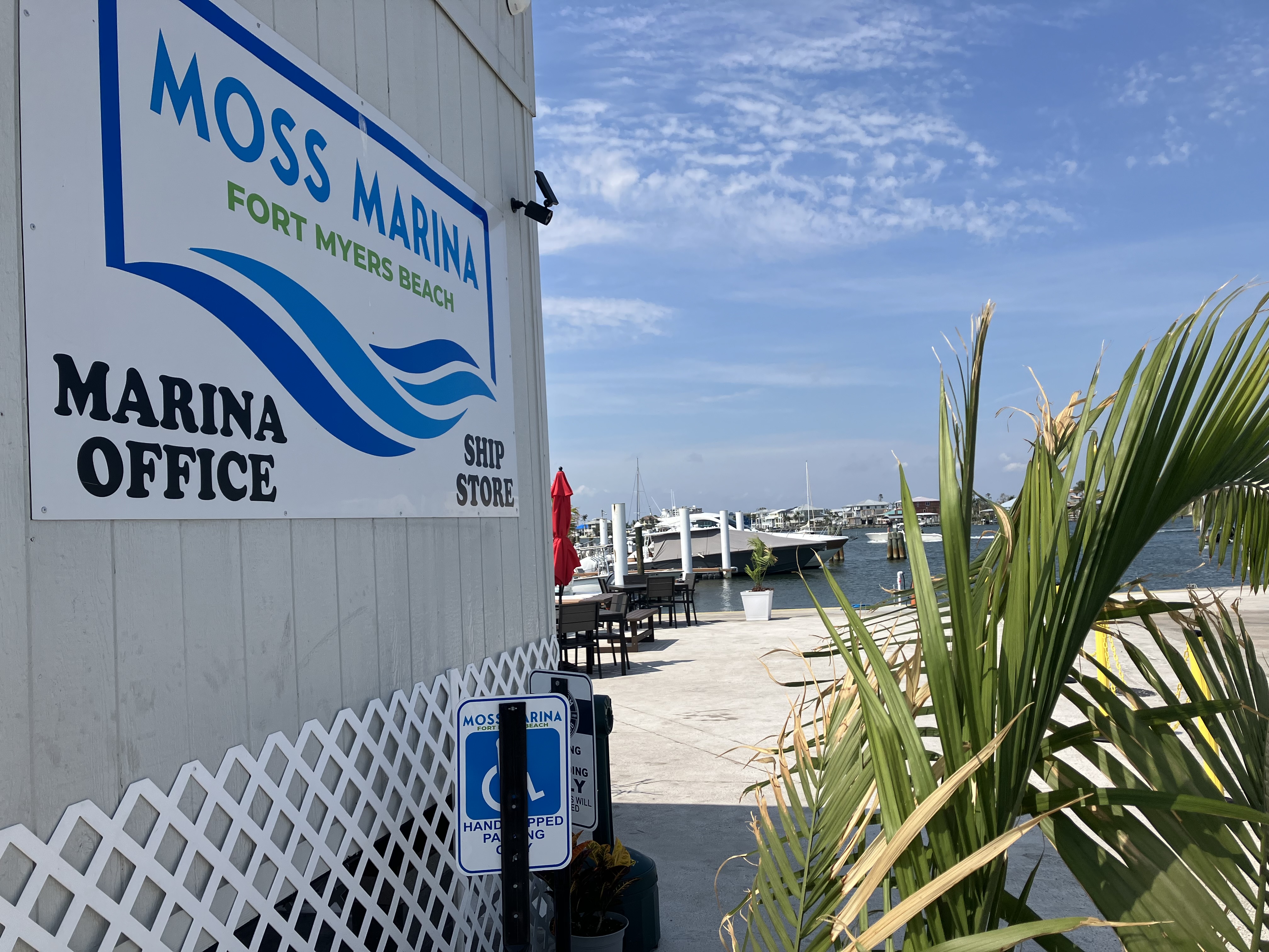 Moss Marina new entertainment district 