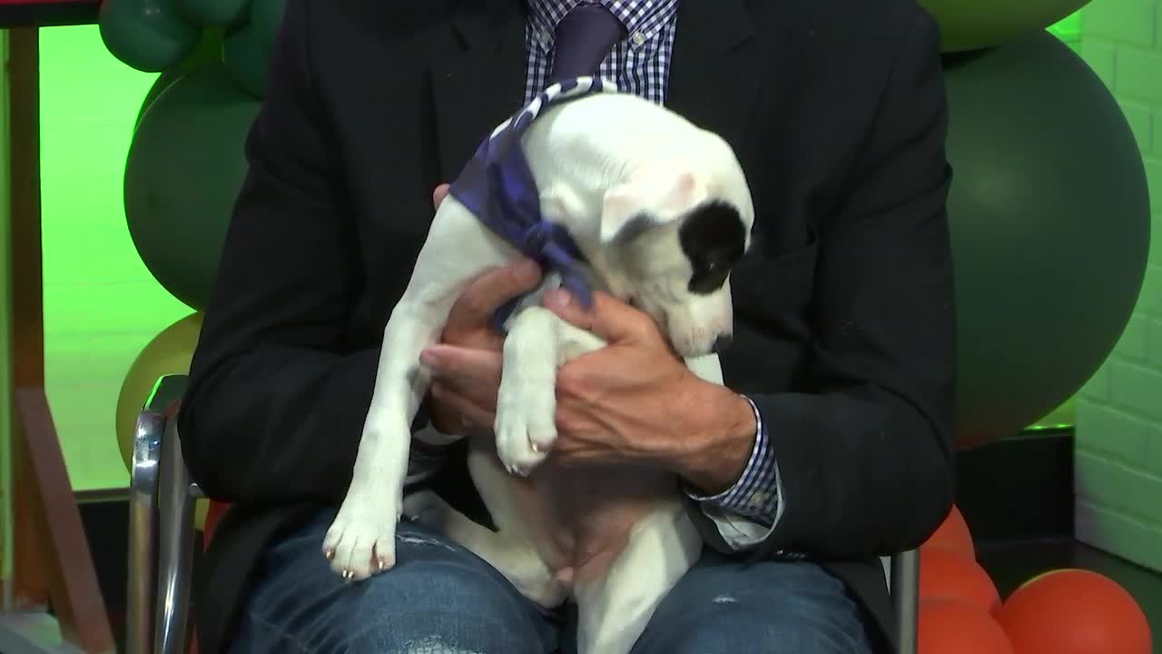 Meet Cruella, Kern Living