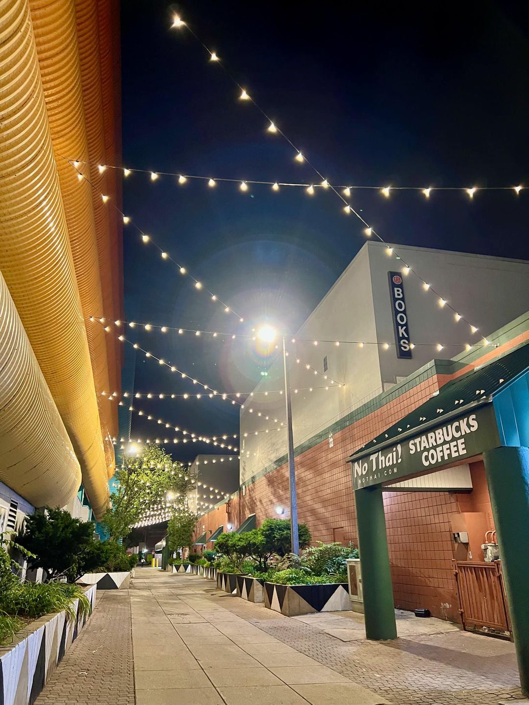 New string lights in downtown East Lansing