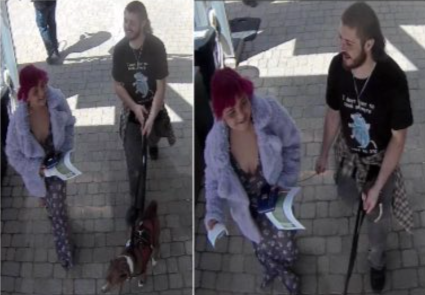 Assault at Denver Zoo