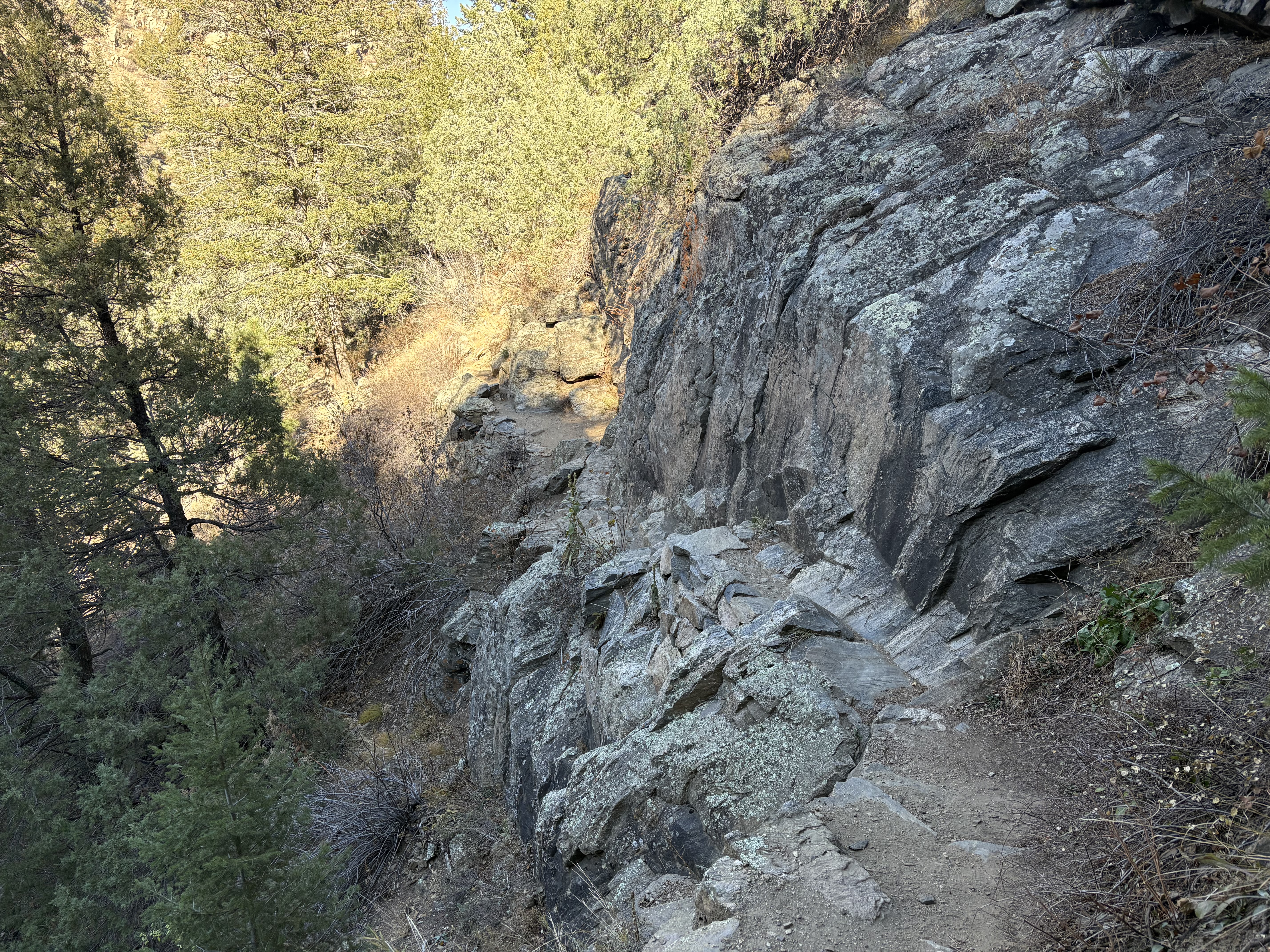 Chavez Trail and Beaver Brook Trail