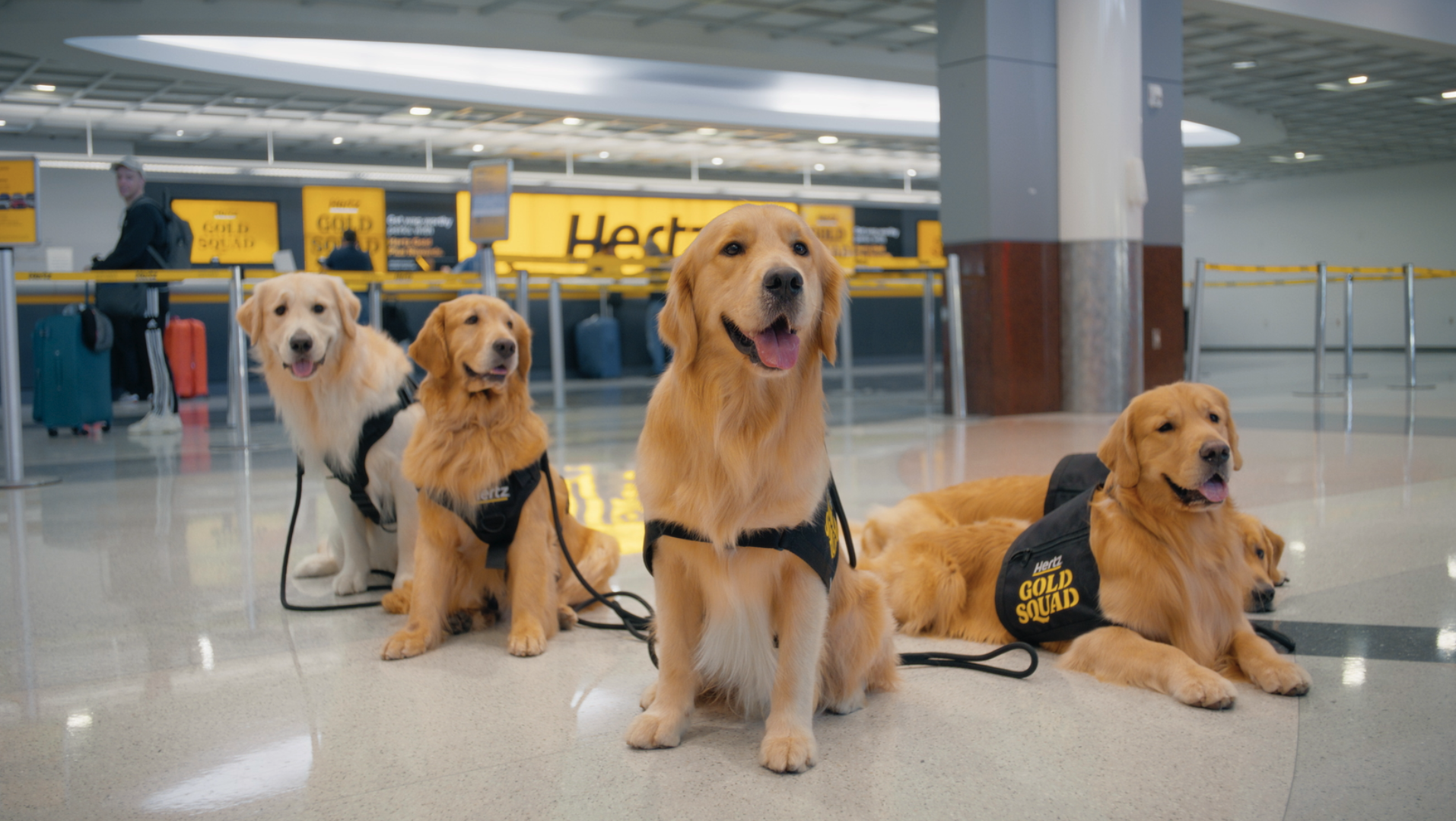 Hertz launched its new “Gold Squad,” a team of trained golden retrievers deployed to select U.S. airports to comfort and delight weary travelers.