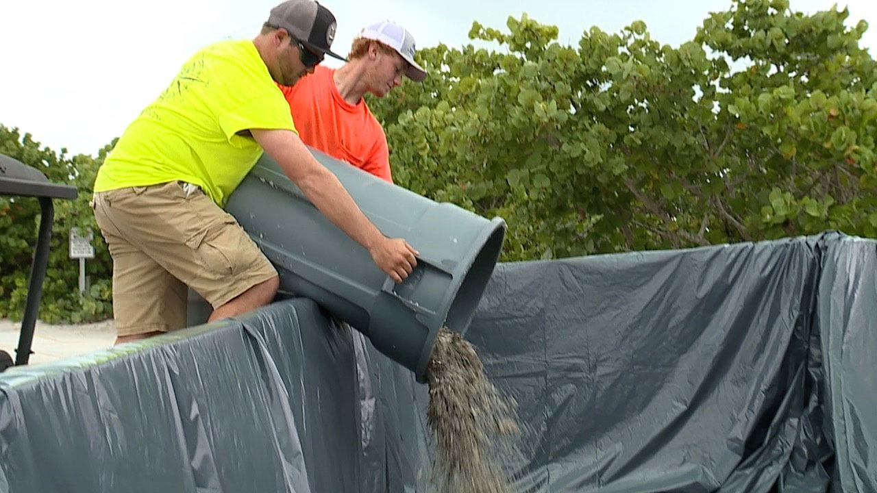 Crews-set-up-to-help-with-red-tide-cleanup-at-Pinellas-County-beaches-WFTS.jpg
