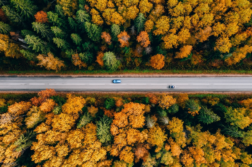 Aerial view of road and cars