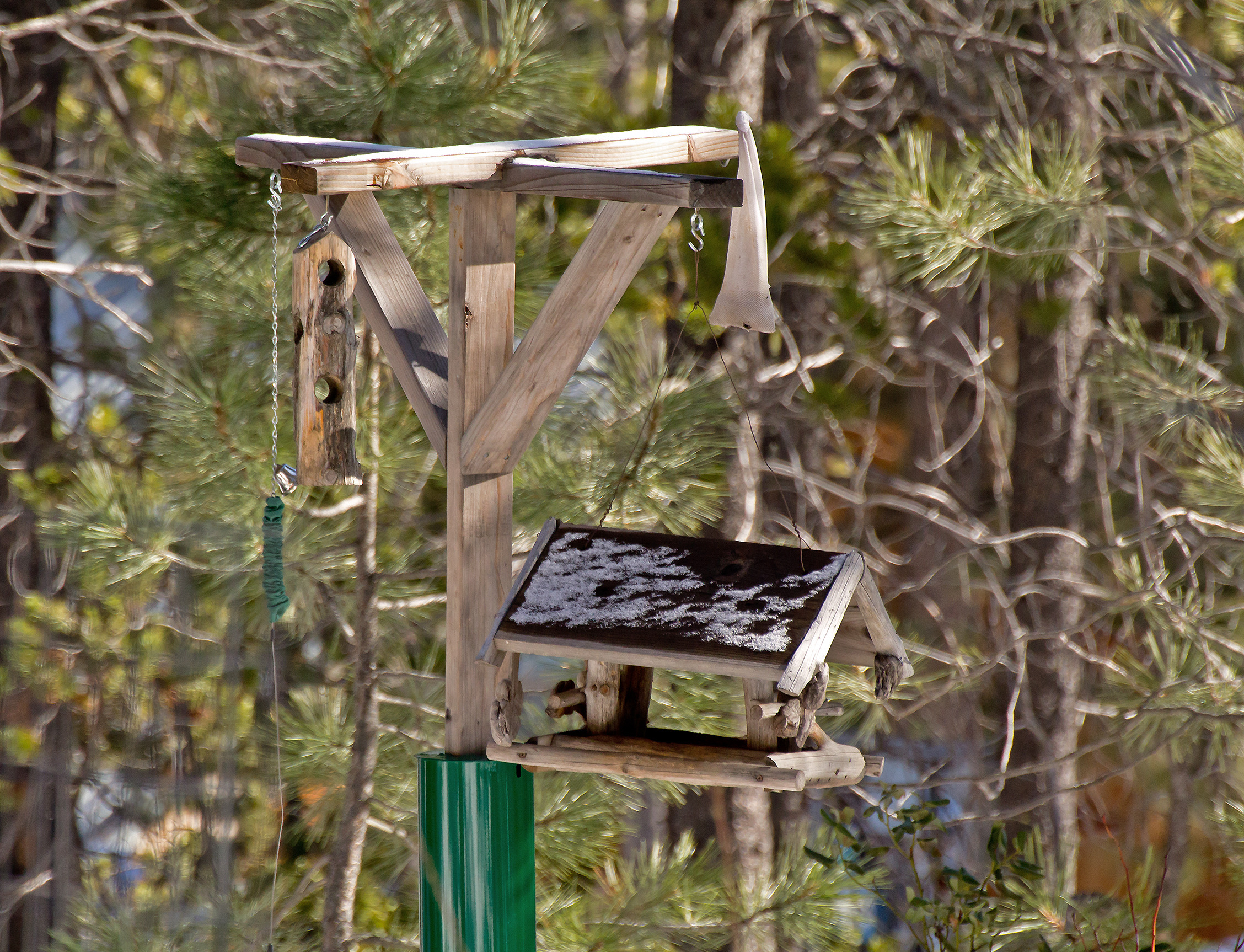 bird-feeder-SBI-300366555.jpg
