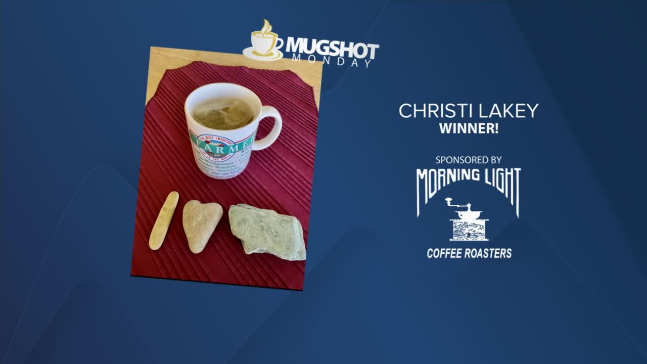 Mug Shot Monday (April 11, 2022)