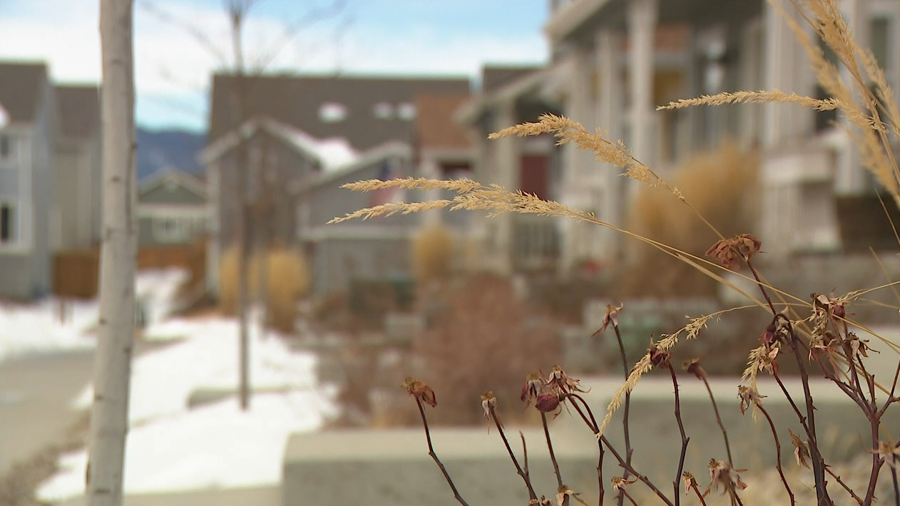 Small homes: The future of housing on the Front Range?