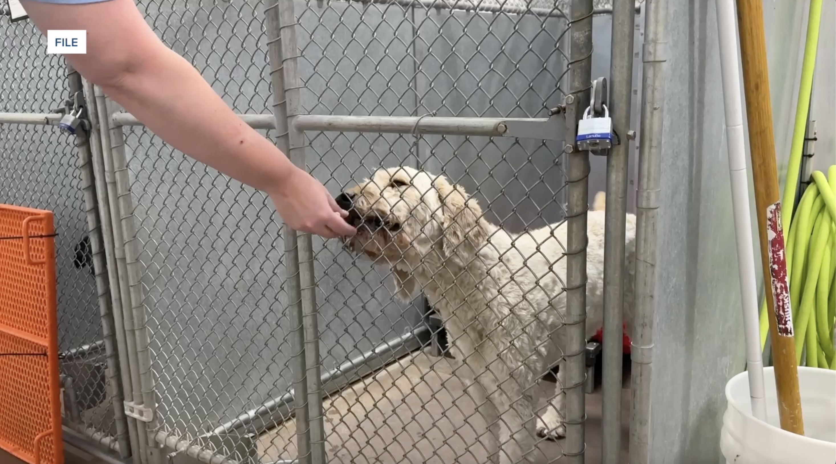 Screenshot 2025-12-10 at 3.32.37 PM.jpeg