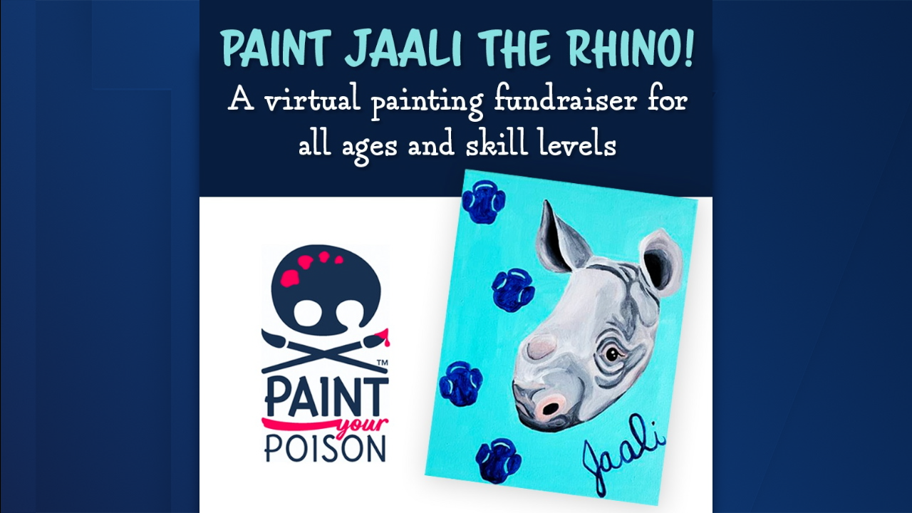 Jaali the black rhino