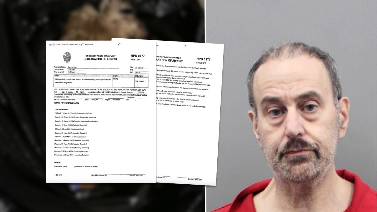 Randy Katz arrest report