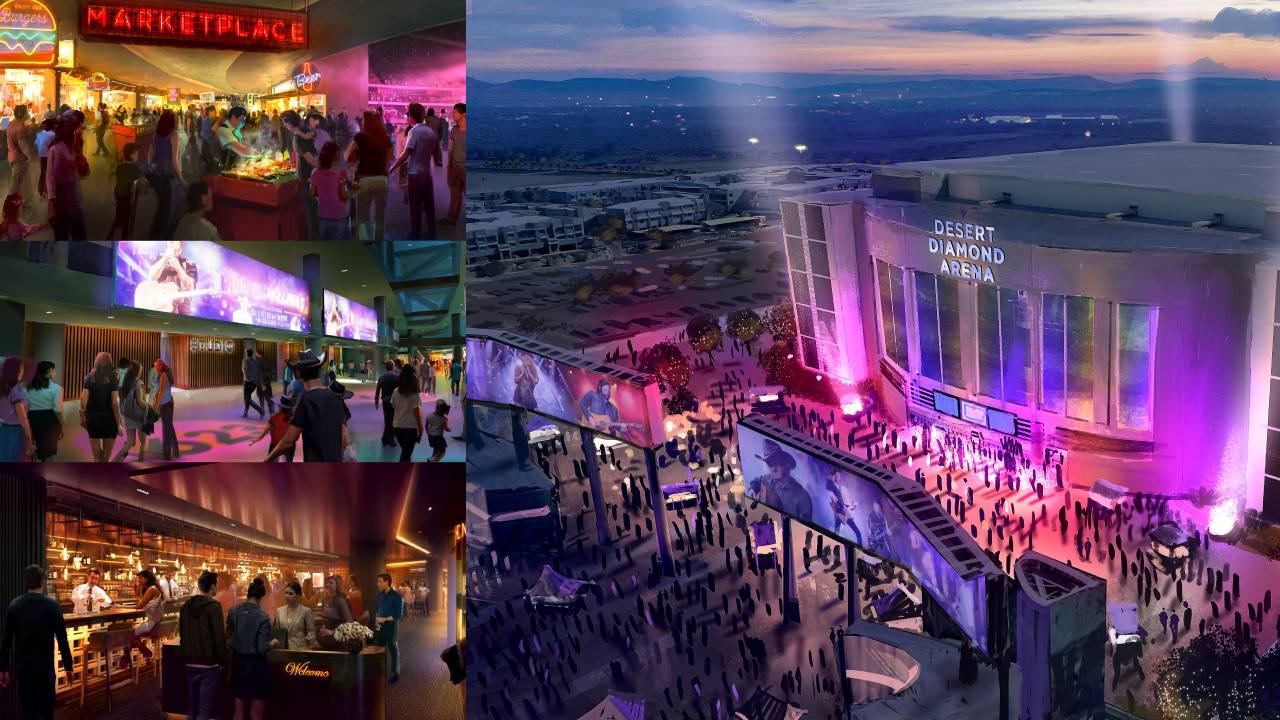 A look at what Desert Diamond Arena's $42 million investment entails.