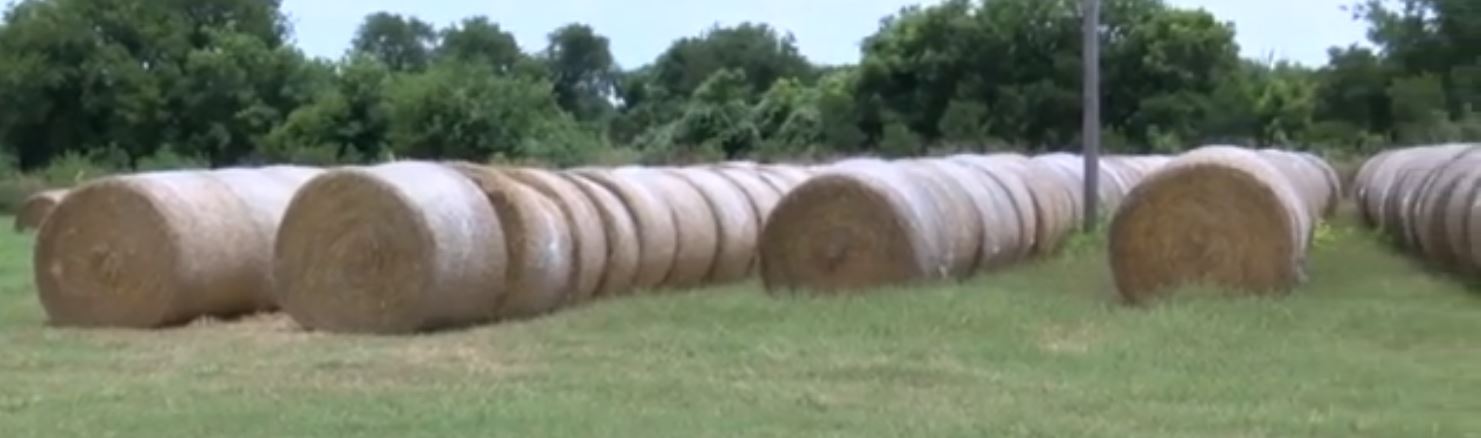 Hay Farmers.JPG