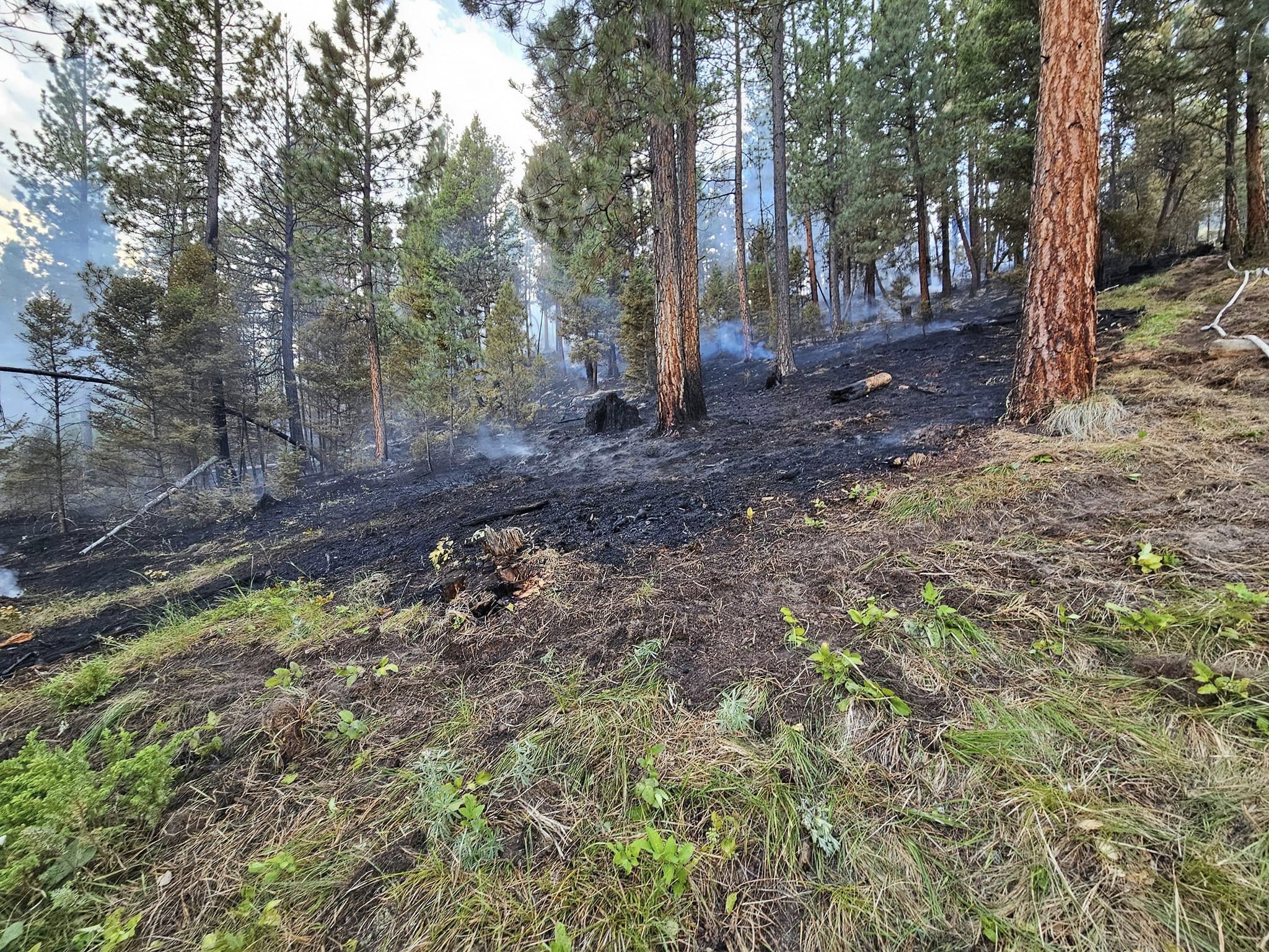 Lincoln Wildfire 062624