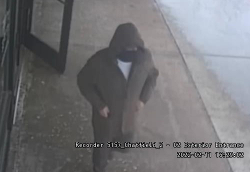 Bushy Brows Bandit 