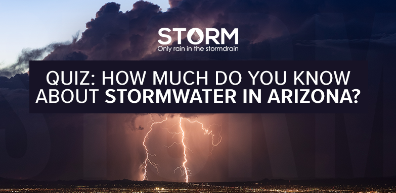 STORM Quiz 2023