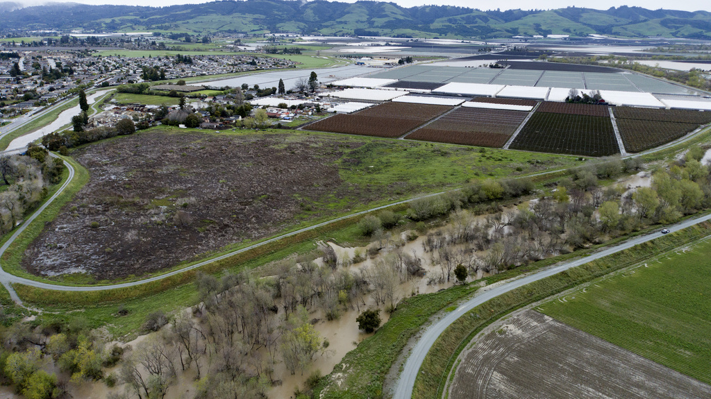 California Storms Strawberries