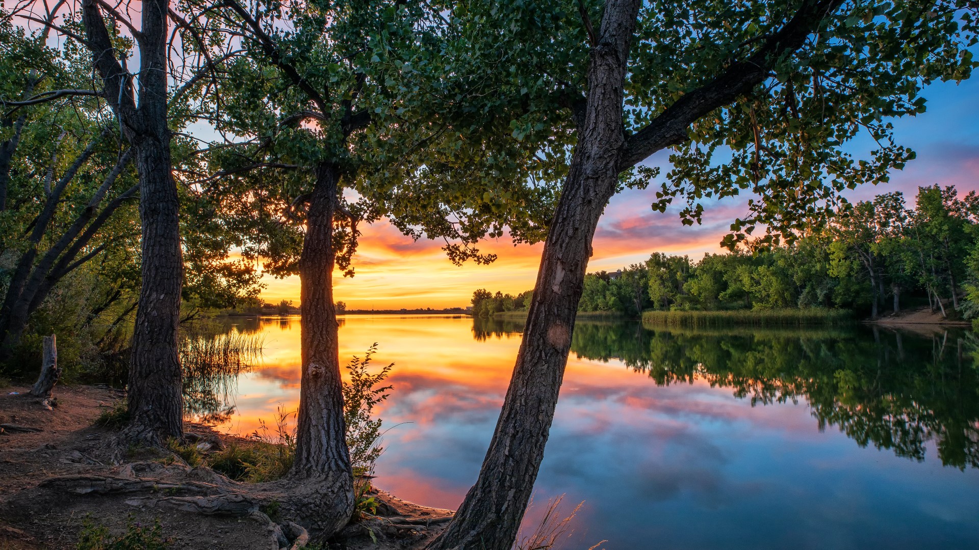 Quail Lake sunrise