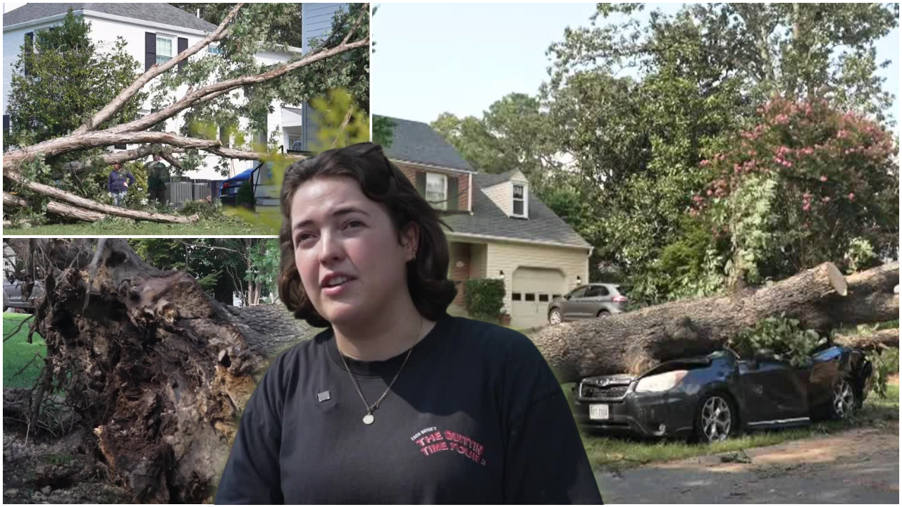 Tuckahoe Storm Damage 