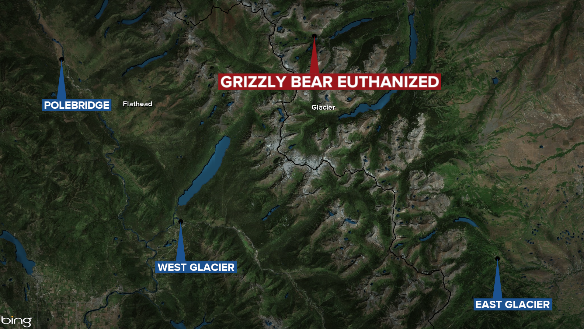 GNP Grizzly Bear Euthanized