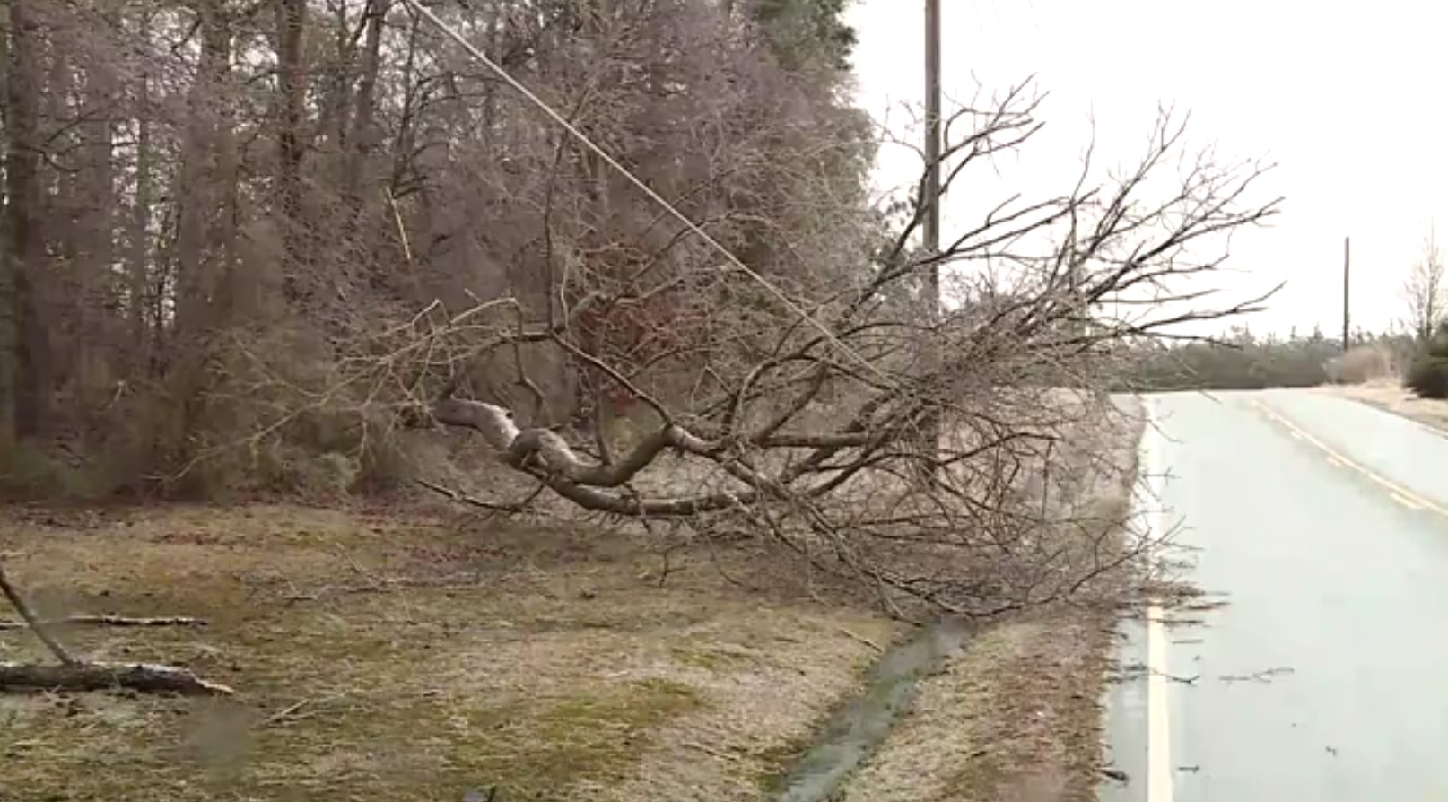 Dinwiddie ice storm power outage 04.jpg