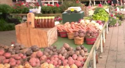 Farmers Markets are opening, providing a sense of normalcy