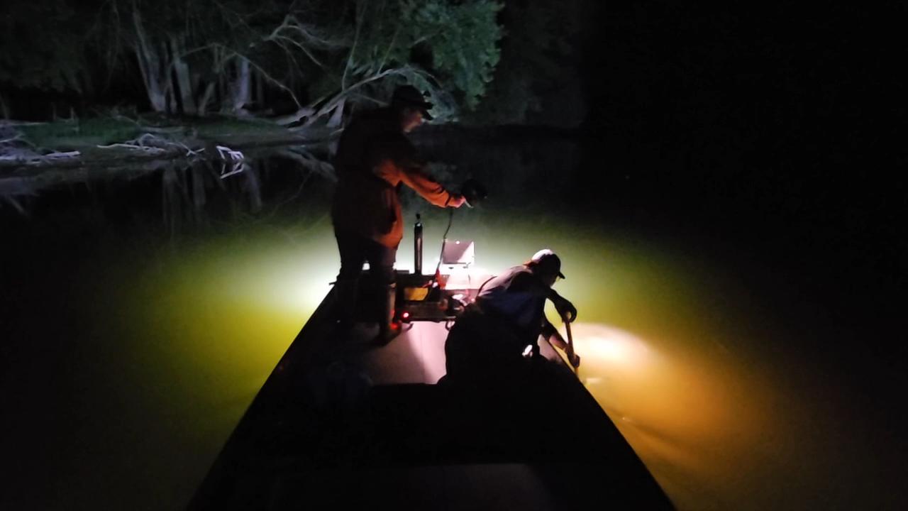 GRPM surveys Grand River for lake sturgeon