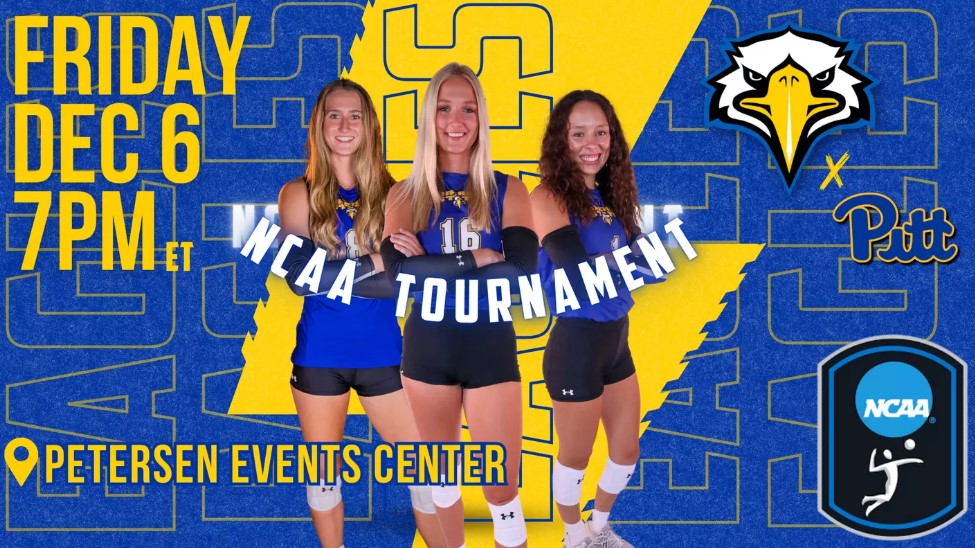 msu vball.jpg