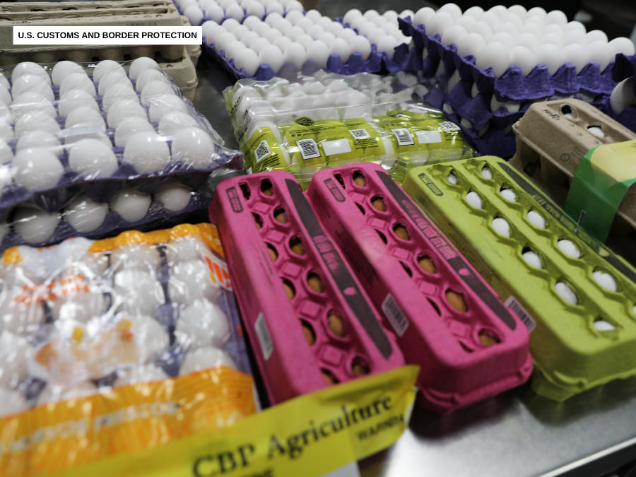 border_raw_eggs2_cbp.png