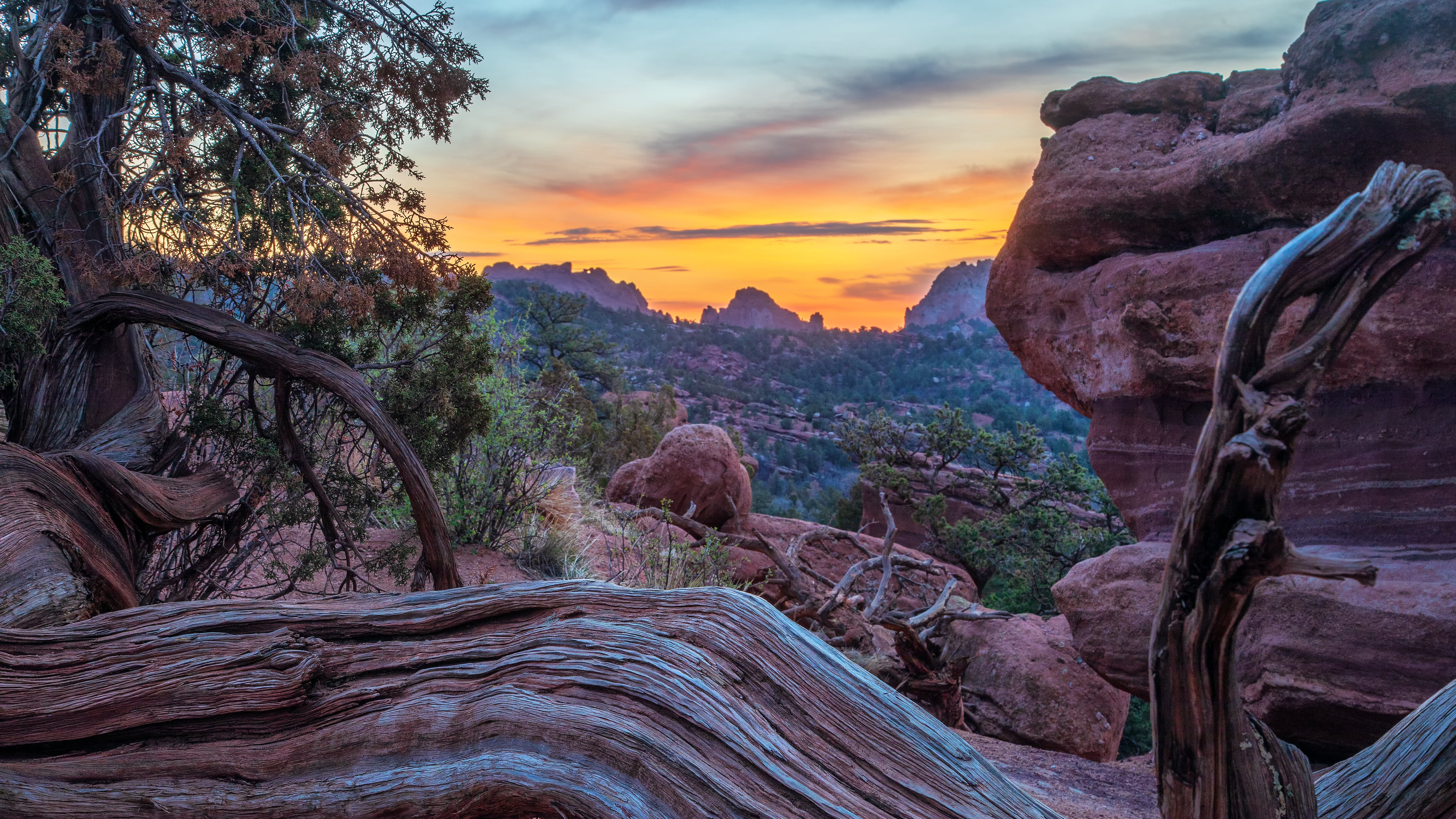 Bruce Hausknecht Garden of the Gods