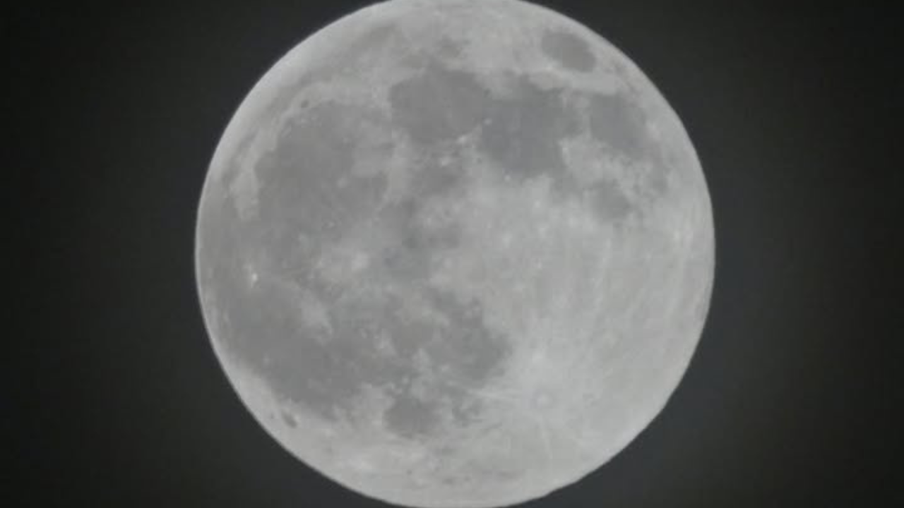 Mike Buti Harvest Moon photo 