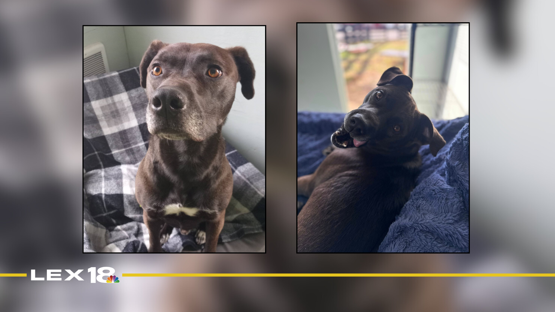 Featured Image Custom Edit (24).png