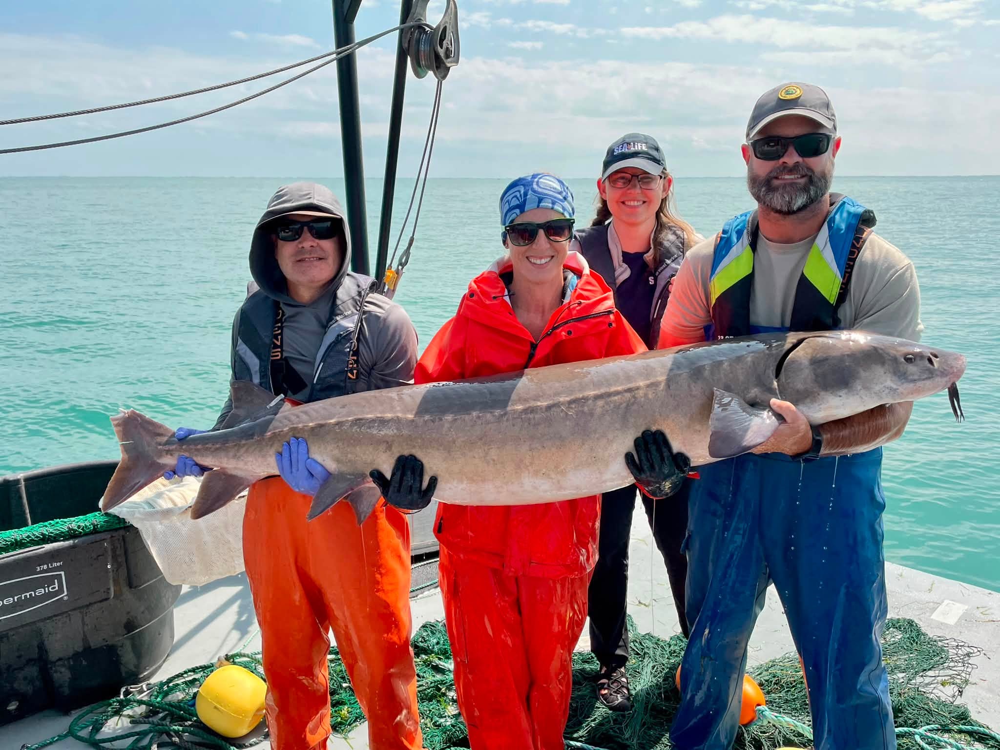 120 pound 73 inch sturgeon andrew briggs - 1.jpg
