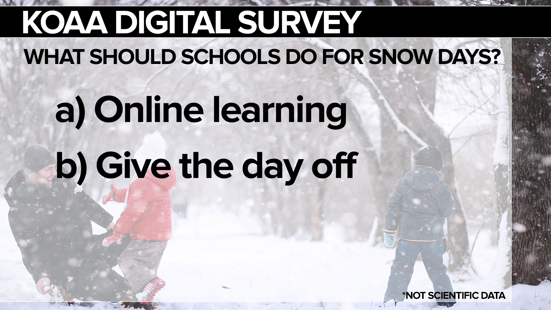 Snow day survey