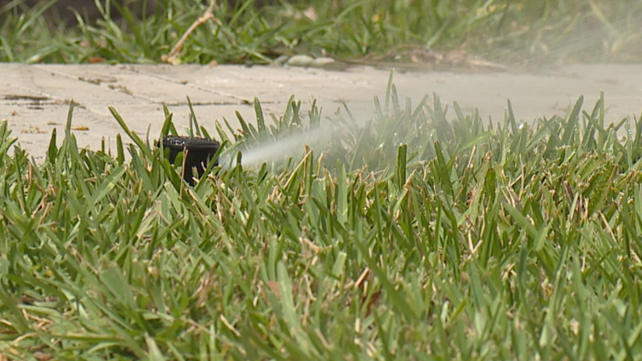 watering lawn.png
