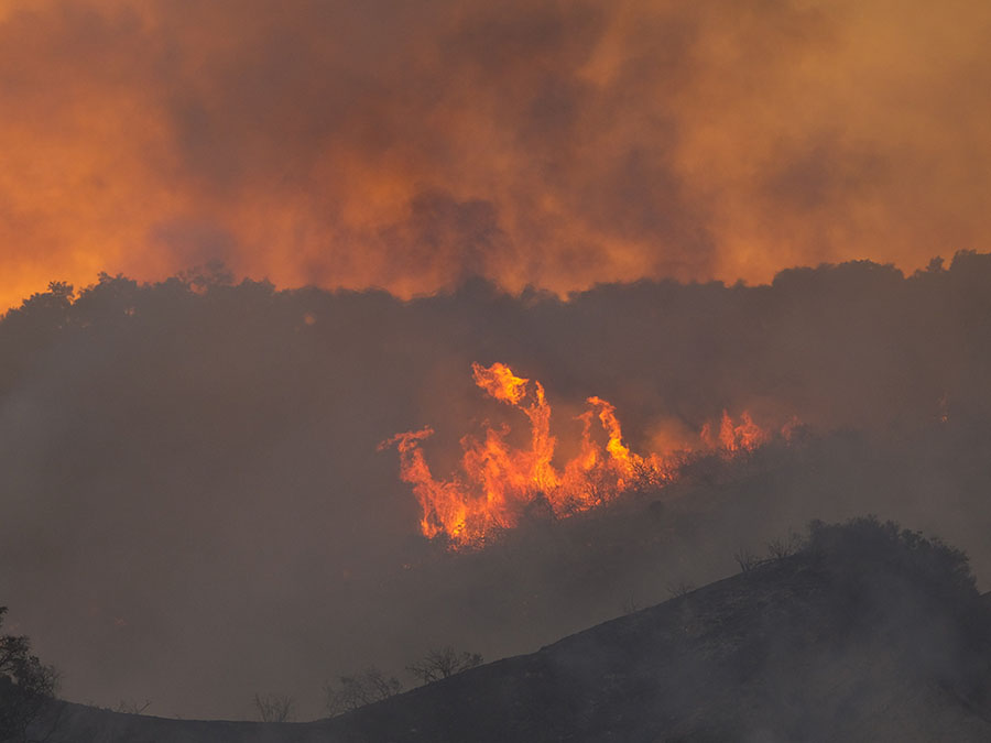 pacific palisades wildfire