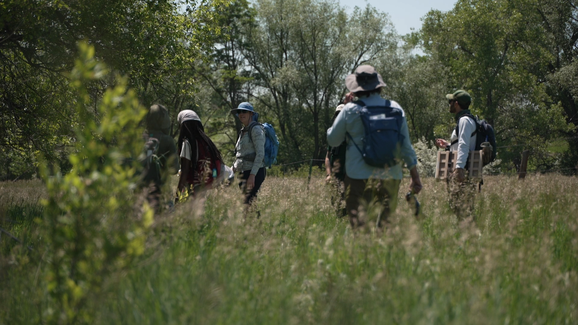 louisville bioblitz team in field