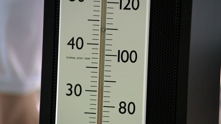 Tampa launches Heat Resilience Playbook as temperatures soar