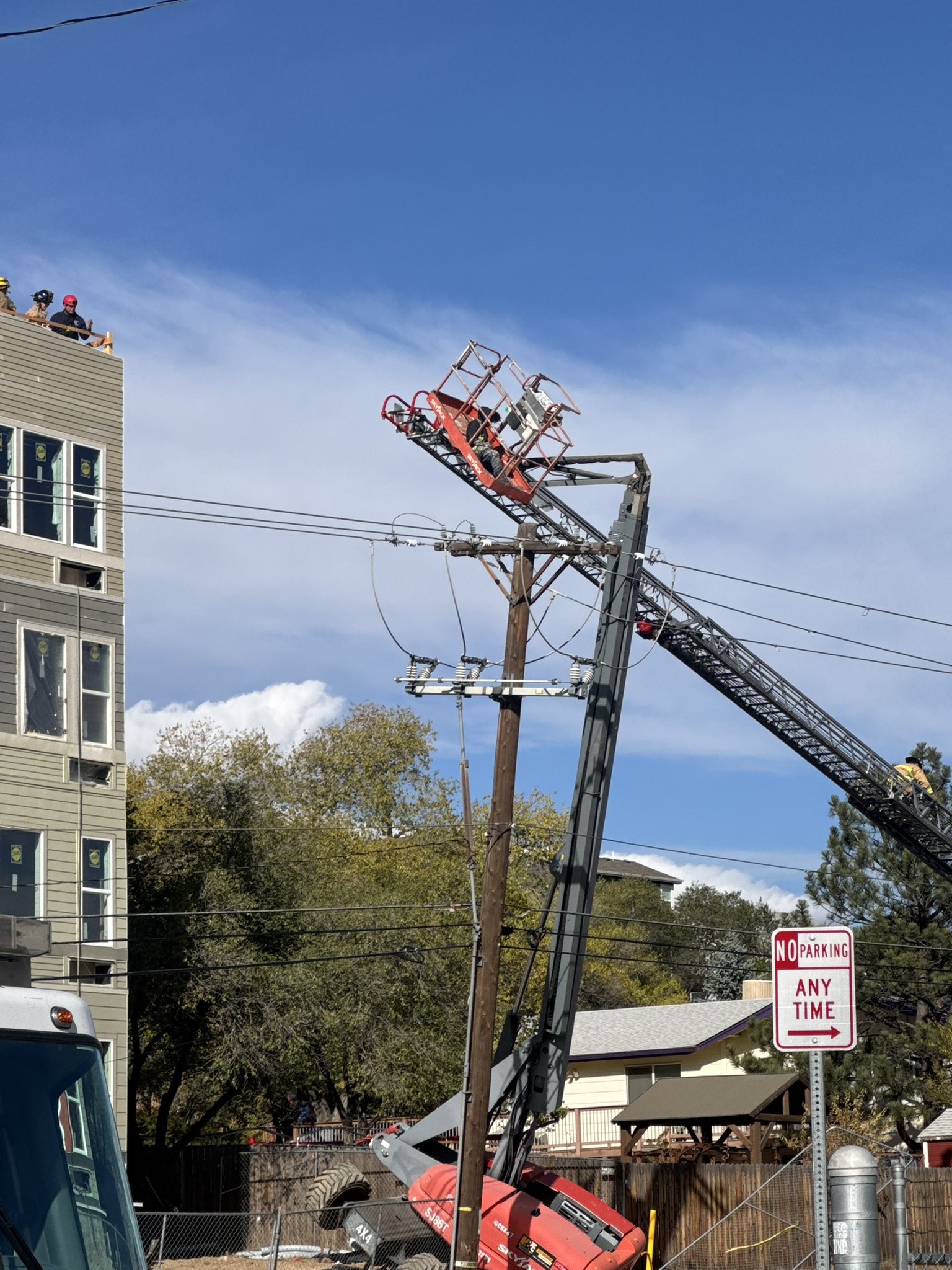 working rescue.jpeg