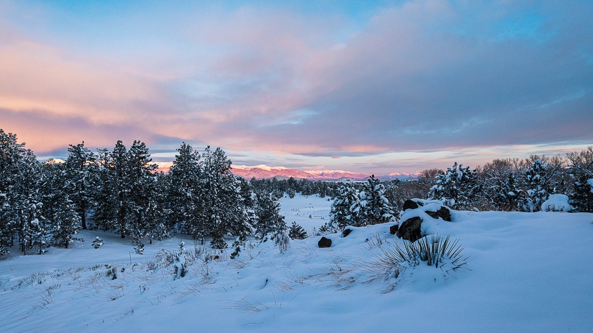 Snowy Sangre de Cristos