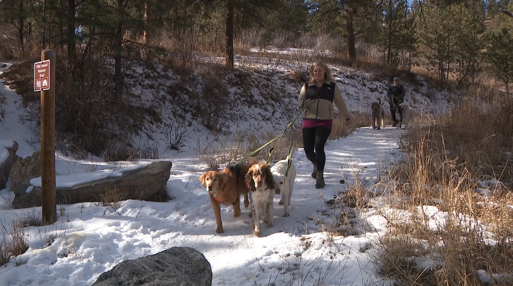 Adventure Pup Wellness