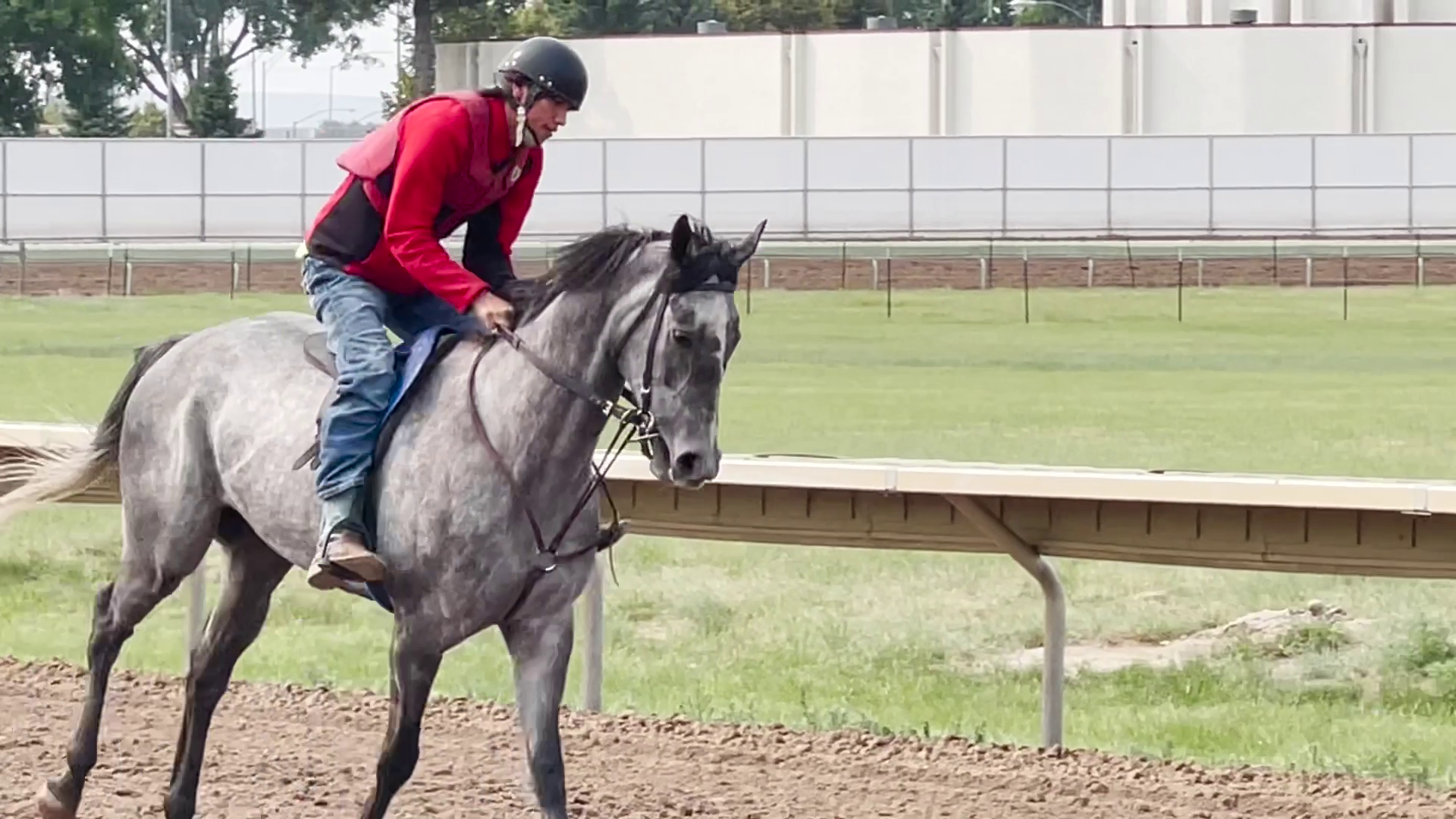 Horse Racing In Great Falls (2023 preview photo)