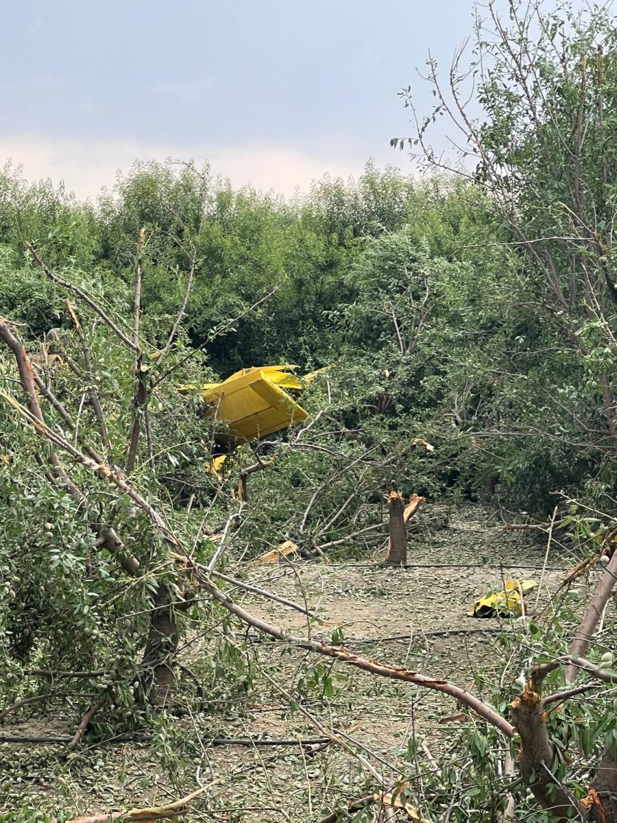 Bakersfield Mettler plane crash